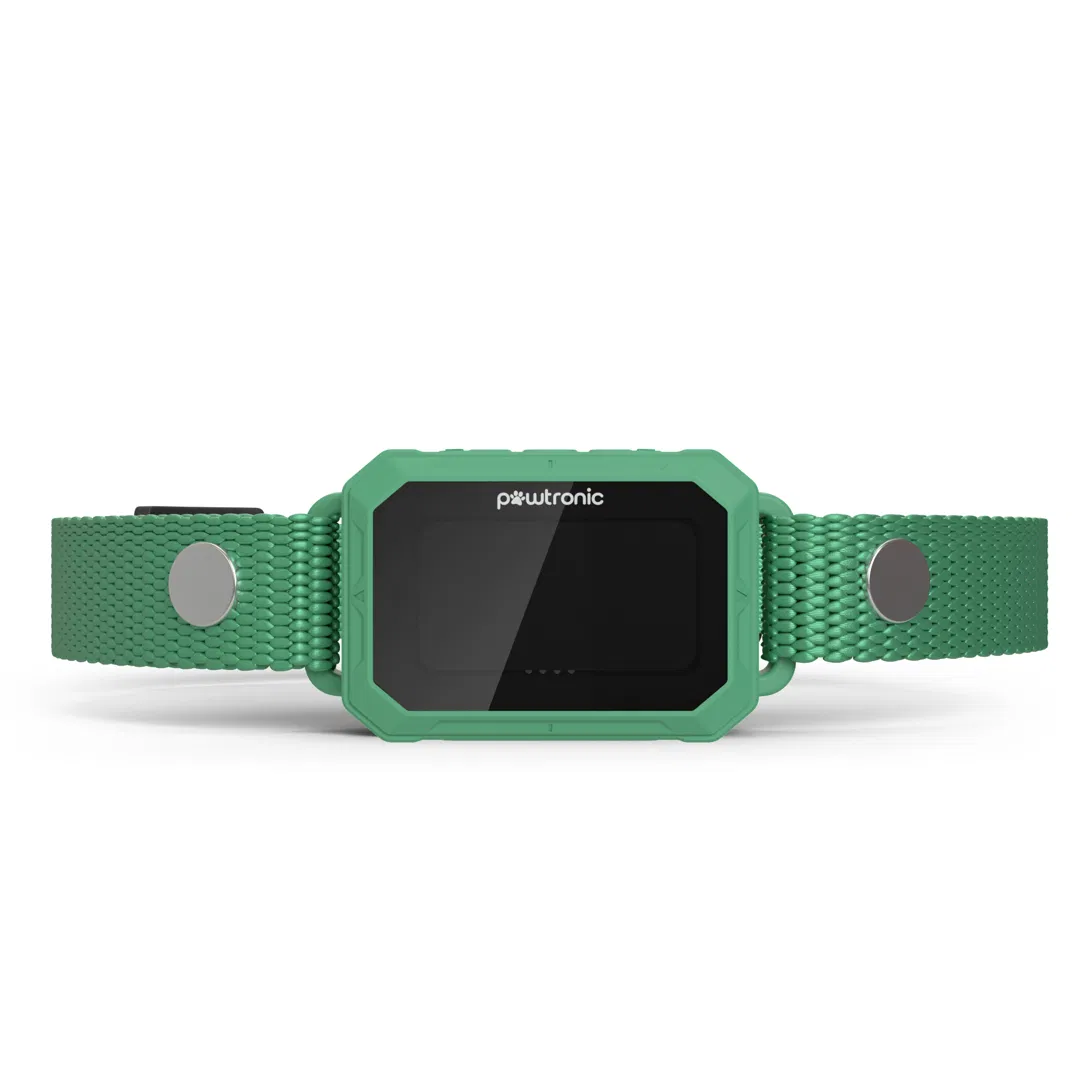 PawTronic Pro Series 2 GPS collar